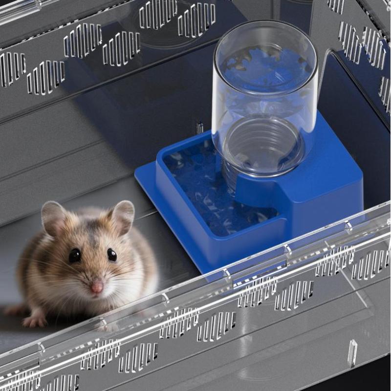 Water Dish Reptile - (BF06)ขวดน้ำสัตว์เลื้อยคลาน เครื่องให้น้ำอัตโนมัติพร้อมขวดสำหรับเต่า จิ้งจก ป้องกันการจมน้ำ จ่ายน้ำได้ สะดวก
