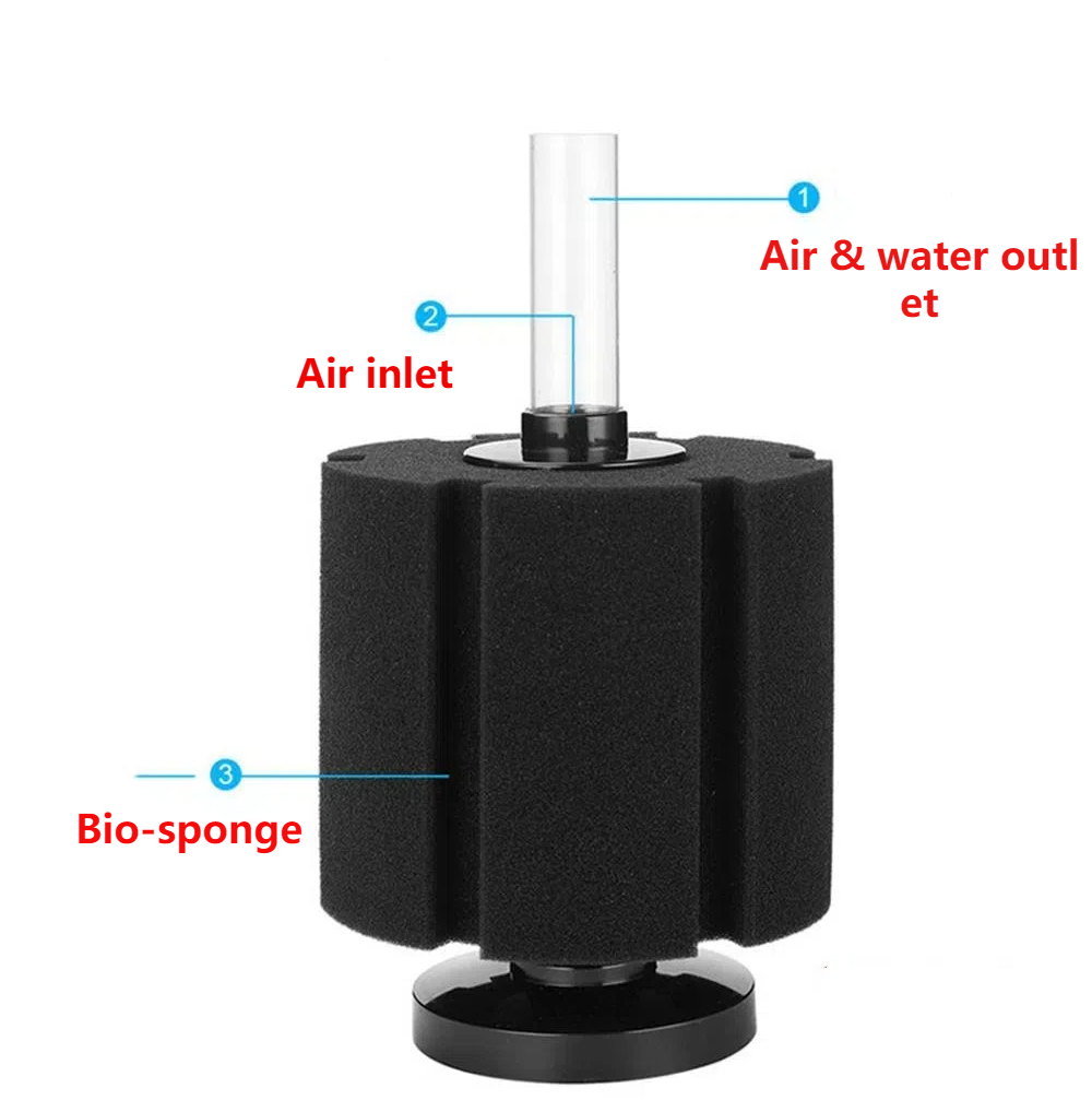 ฟองน้ำกรองตู้ปลา ปั๊มลม สกิมเม - Aquael Filter Fzn บทวิจารณ์และราคา