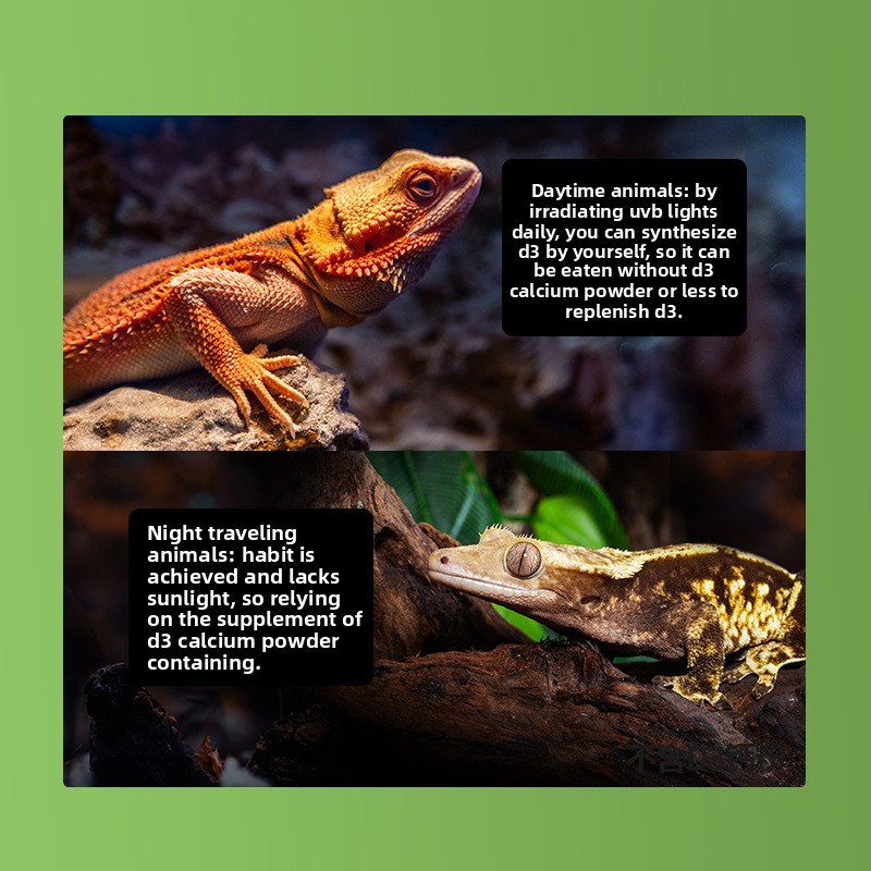 Reptizoo สัตว์เลื้อยคลานแคลเซี - Vitamin D3 Reptile บทวิจารณ์และราคา