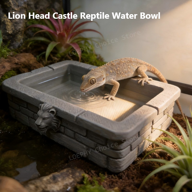ชามน้ำสำหรับสัตว์เลื้อยคลานรูป - Water Dish Reptile บทวิจารณ์และราคา